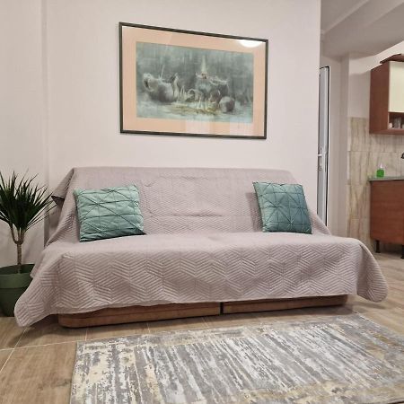 Laroka House Beautiful Apartment Universitate Center بوخارست المظهر الخارجي الصورة
