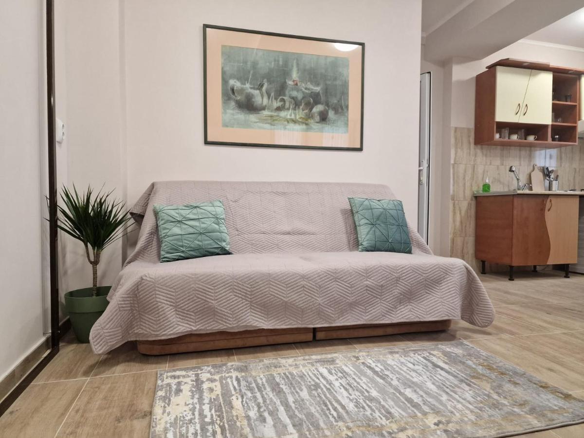 Laroka House Beautiful Apartment Universitate Center بوخارست المظهر الخارجي الصورة